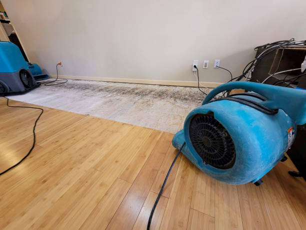 Professional Basement Flood Cleanup technician working in Sonoita, AZ